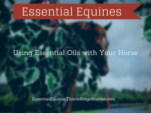 Essential oil expert, using essential oils with your horse, essential equines