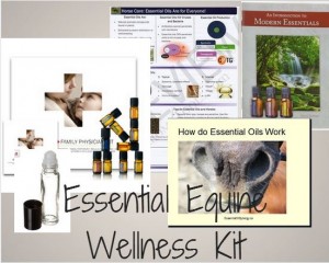 essential equines, how to use essential oils with your horse, essential oil expert