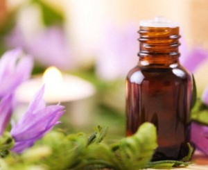essential oil experts, essential equines, how to use essential oils with horses