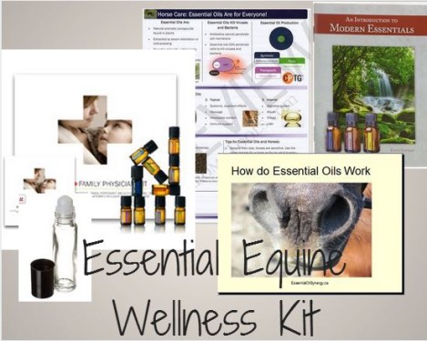 essential equines, how to use essential oils with your horse, essential oil expert